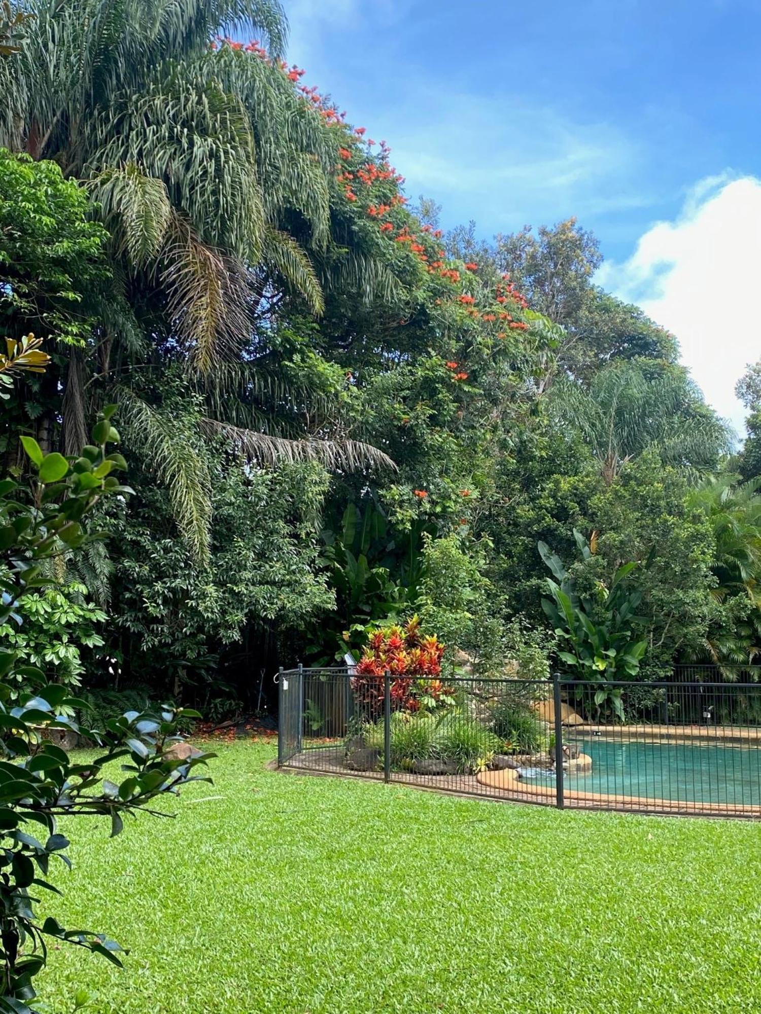 Malanda Lodge Exterior photo